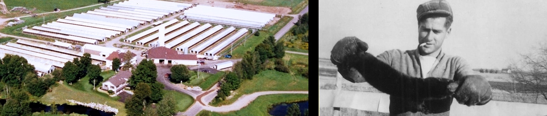 aerial-view-of-patrick-fur-farm-1997