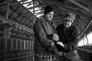 Kyle Patrick and Mike Patrick live grading a mink